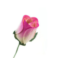 Wooden Closed Bud Rose #20 - White With Hot Pink Tips