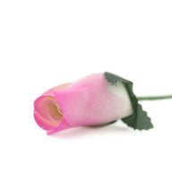 Wooden Closed Bud Rose #23 - White With Violet Tips