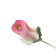 Wooden Closed Bud Rose #23 - White With Violet Tips