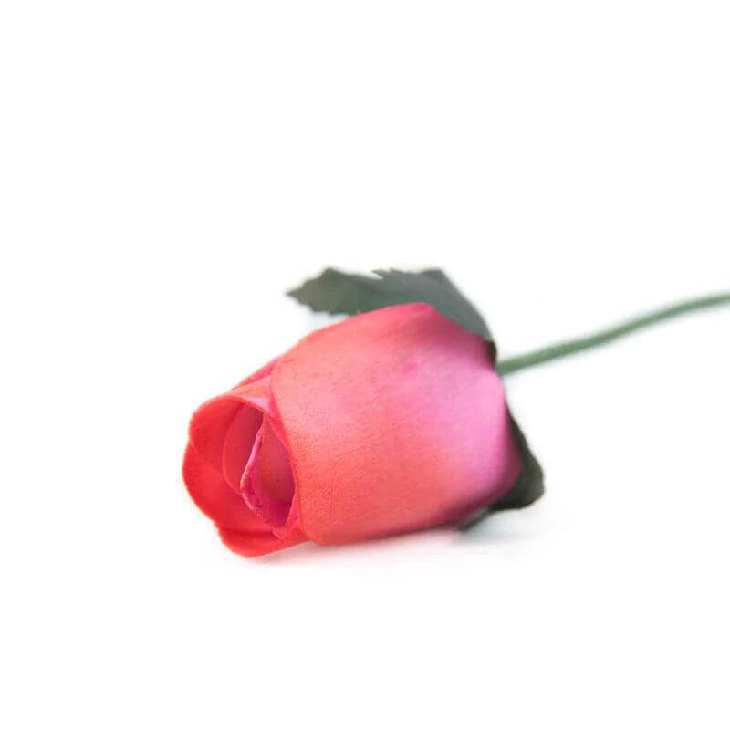 Wooden Closed Bud Rose #36 - Pink With Red Tips